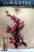 女人腹部疤痕遮盖－唯美时尚的梅花纹身图案