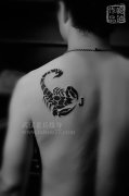 男人最喜欢的蝎子纹身图案作品由纹身师喻迪制作