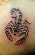 一款时尚经典的石裂烙印蝎子纹身图案