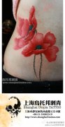 美女腰部漂亮时尚的罂粟花纹身图案