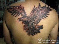 男人后背帅气超酷的老鹰纹身图案
