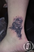 美女脚踝处可爱小巧的猫咪纹身图案