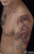 男人手臂帅气超酷的欧美蛇纹身图案
