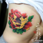女生侧背唯美时尚的牡丹花纹身图案
