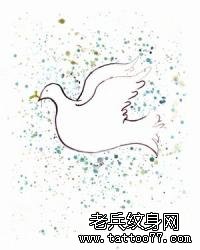 鸽子