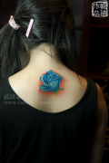 美女后颈部蓝色玫瑰纹身图案作品及花语寓意