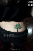 后腰绿叶大树纹身图案作品由武汉纹身店疯子出品