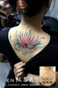 女生后背漂亮唯美的彩色莲花纹身图案