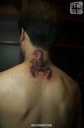 颈部立体蝎子纹身图案作品及象征含义