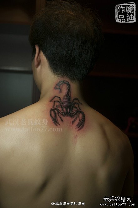 颈部立体蝎子纹身图案作品及象征含义