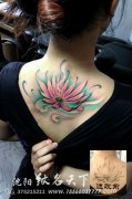 女生后背唯美漂亮的彩色莲花纹身图案