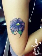 女生手臂唯美漂亮的小花卉纹身图案