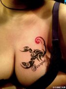 诱人的美女胸部图腾蝎子纹身图案