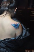 唯美的背部蝴蝶纹身图案作品