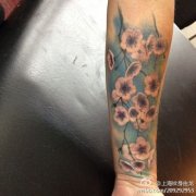 手臂漂亮潮流的梅花纹身图案