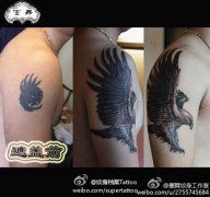 手臂霸气潮流的老鹰纹身图案