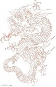 男人喜欢的经典的满背线条龙纹身手稿