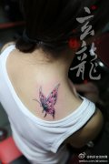 美女肩背漂亮小巧的彩色蝴蝶纹身图案