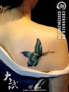 女生后肩背潮流漂亮的彩色蝴蝶纹身图案