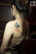 技术最好的纹身店喻迪为一美女制作的肩背彩色蝴蝶纹身作品及讲究