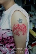 手臂潮流漂亮的图腾大象纹身图案