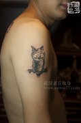武汉专业纹身店纹身师疯子打造的大臂猫头鹰纹身作品及讲究