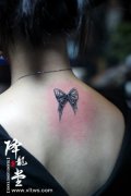 女生后背小巧流行的蝴蝶结纹身图案