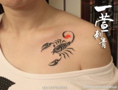 女生前胸经典潮流的图腾蝎子纹身图案