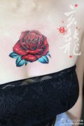女生前胸漂亮潮流的彩色玫瑰花纹身图案