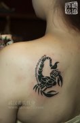 图腾蝎子纹身现如今也是美女们喜欢的纹身图案哦