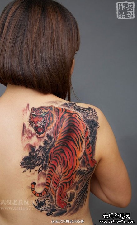 这个纹身叼爆了！为河南美女制作的彩色霸气上山虎纹身作品及含义
