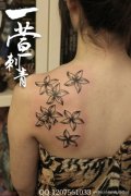 女生后肩背唯美的黑灰花卉纹身图案