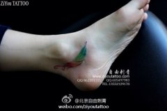女生脚踝处小巧时尚的彩色羽毛纹身图案