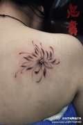女生肩背潮流清雅的黑灰水墨莲花纹身图案