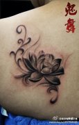 女生肩背唯美清雅的黑灰莲花纹身图案