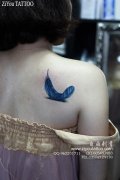 女生肩背唯美漂亮的彩色羽毛纹身图案