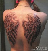 女生后背潮流经典的半背翅膀纹身图案