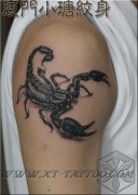 男人手臂经典的黑灰写蝎子纹身图案