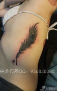 美女侧腰精美潮流的孔雀羽毛纹身图案