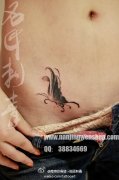 女生腹部潮流时尚的黑灰蝴蝶纹身图案