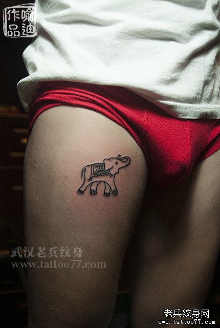男人也可以纹象，腿部小象纹身作品