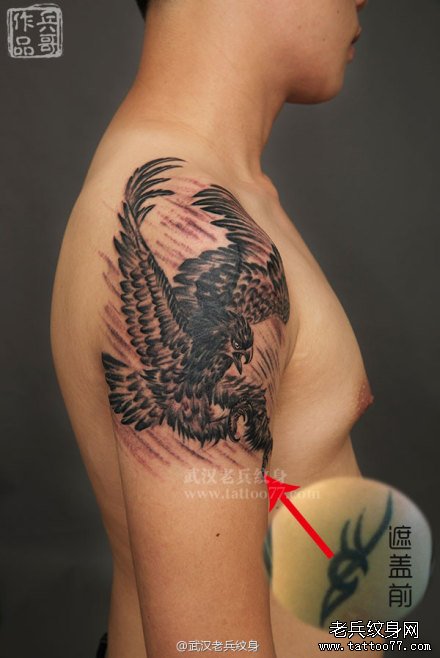 手臂雄鹰展翅纹身作品遮盖旧纹身及意义