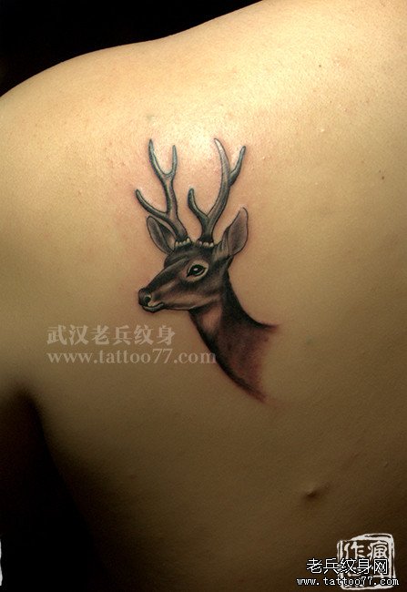 中国福文化之鹿纹身图案作品及象征含义
