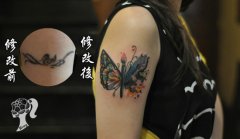 女生手臂漂亮唯美的蝴蝶翅膀纹身图案