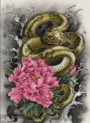 一款时尚很酷的彩色蛇牡丹纹身手稿