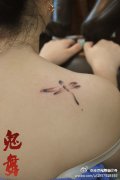 女生肩膀处小巧唯美的小蜻蜓纹身图案