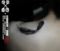美女肩膀处唯美写实的羽毛纹身图案