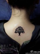 女生后背小巧流行的图腾树纹身图案