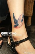 女生小腿唯美潮流的小燕子纹身图案