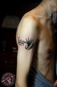 武汉纹身店纹身师打造的手臂图腾凤凰纹身作品及意义
